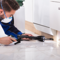 Impactul ecologic al serviciilor de dezinsecție