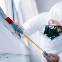 Tratamente Specifice pentru Diferite Tipuri de Insecte
