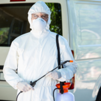 Dezinsectia în Sectorul Comercial: Cum Să Protejezi Afacerea
